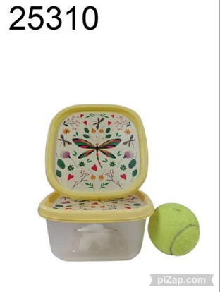 Imagen de TUPPER CUADRADO TAPA HERMETICA ESTAMPADA  9.25